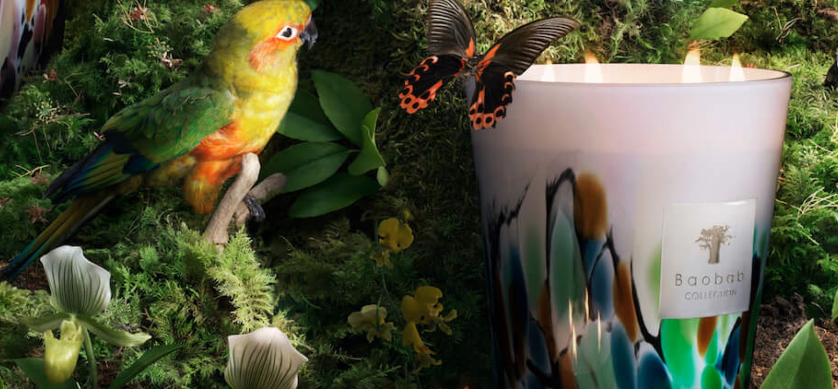 Baobab Collection gaat in zee met MKKM