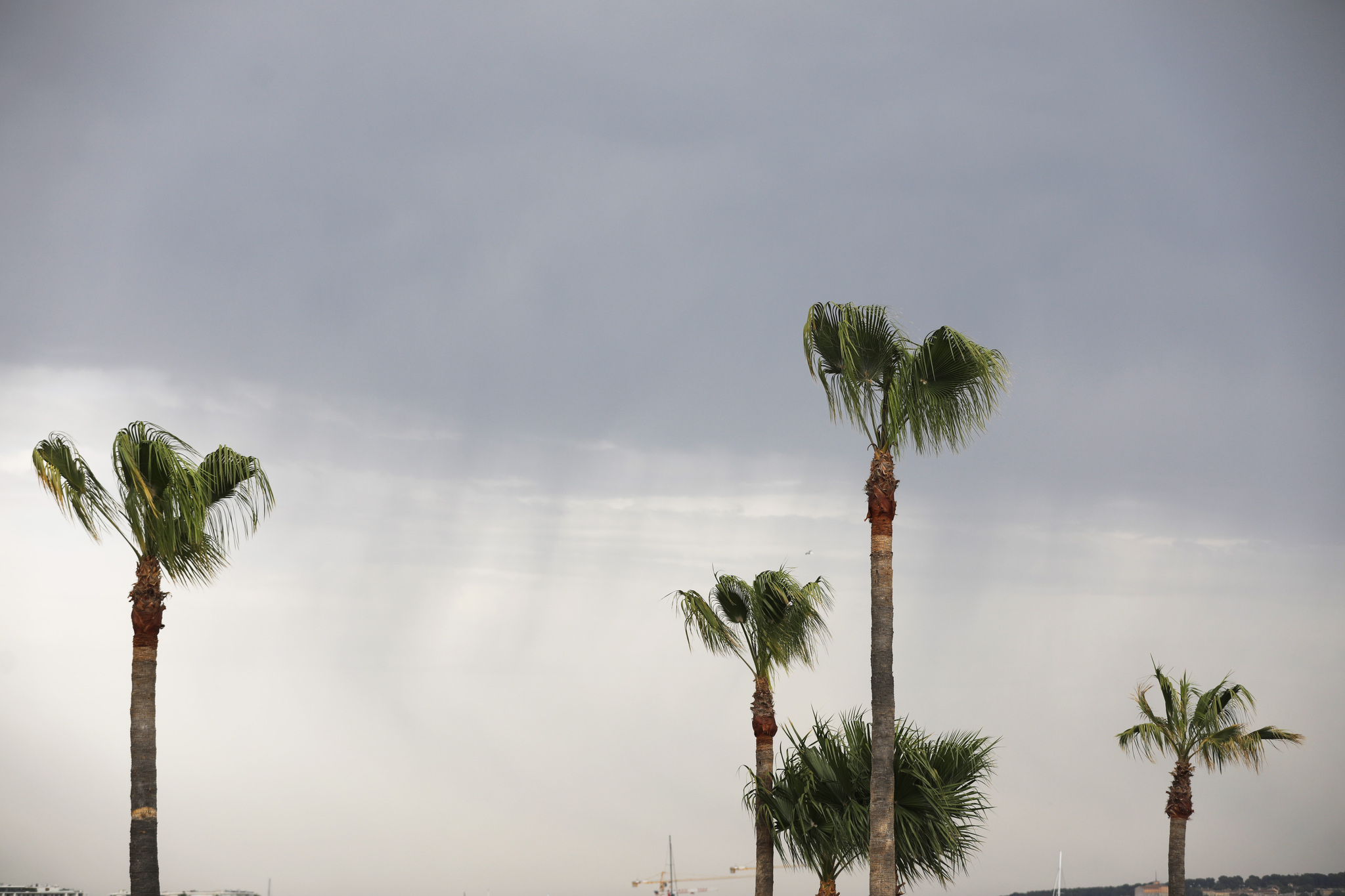 Deux Grand Prix marquent de leur empreinte les Cannes Lions