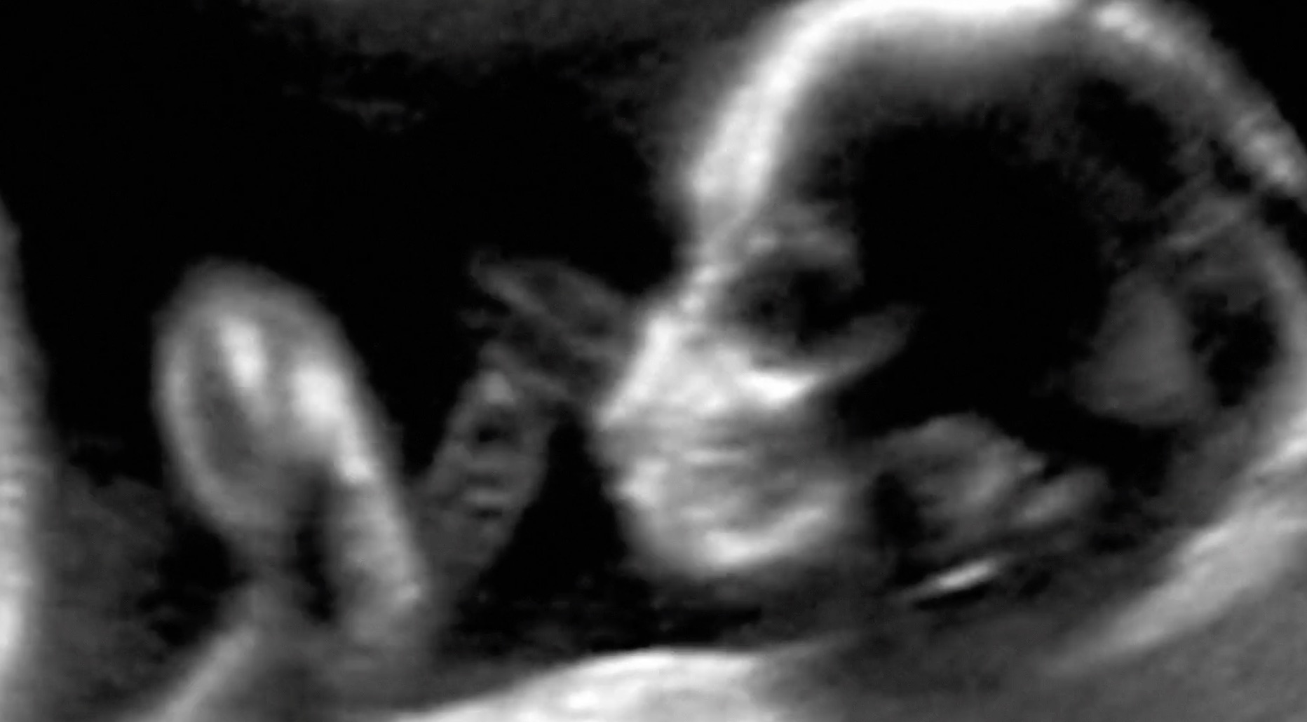 Best of Awards: FamousGrey, HeadOffice et Bepublic &agrave; l'honneur  